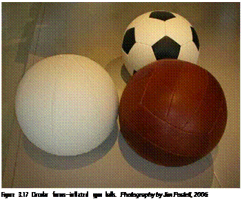 Подпись: Figure 3.17 Circular forms—inflated gym balls. Photography by Jim Postell, 2006. 