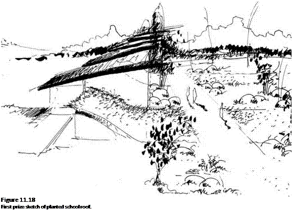 Подпись: Figure 11.18 First prize sketch of planted school roof. 
