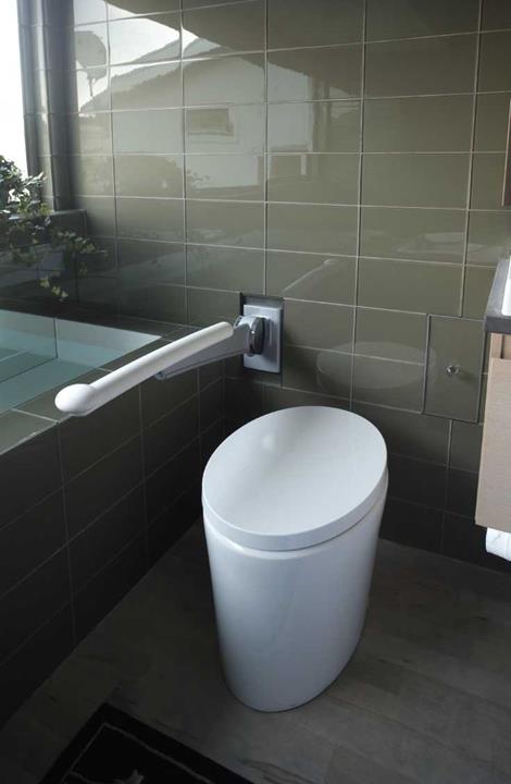 . SIDE WALL GRAB BARS FOR TOILET