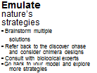 Подпись: Emulate nature’s strategies • Brainstorm multiple solutions • Refer back to the discover phase and consider chimera designs • Consult with biological experts • Go back to your model and explore more strategies 