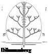 Architectural Analysis of Trees