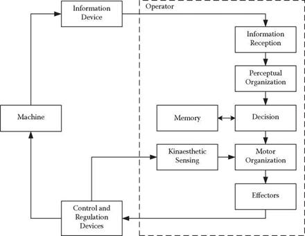 Models of Operators as Components in Complex Systems