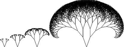 Trees as Fractal Objects