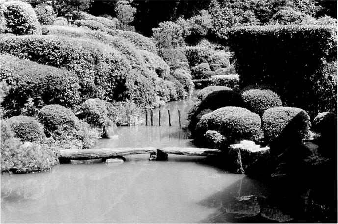 Shoin-Zukuri Gardens and Kano-School Wall Paintings