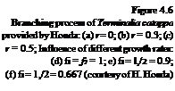 Подпись: Figure 4.6 Branching process of Terminalia catappa provided by Honda: (a) r = 0; (b) r = 0.3; (c) r = 0.5; Influence of different growth rates: (d) fi = f2 = 1; e) fi = l,/2 = 0.9; (f) fi = 1,/2 = 0.667 (courtesy of H. Honda) 