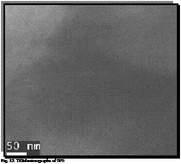 Подпись: Fig. 13. TEM micrographs of SP5 