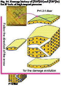 Kinetics of macroscopic damage